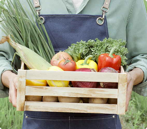 신선한 채소와 과일을 들고 있는 농업인 이미지